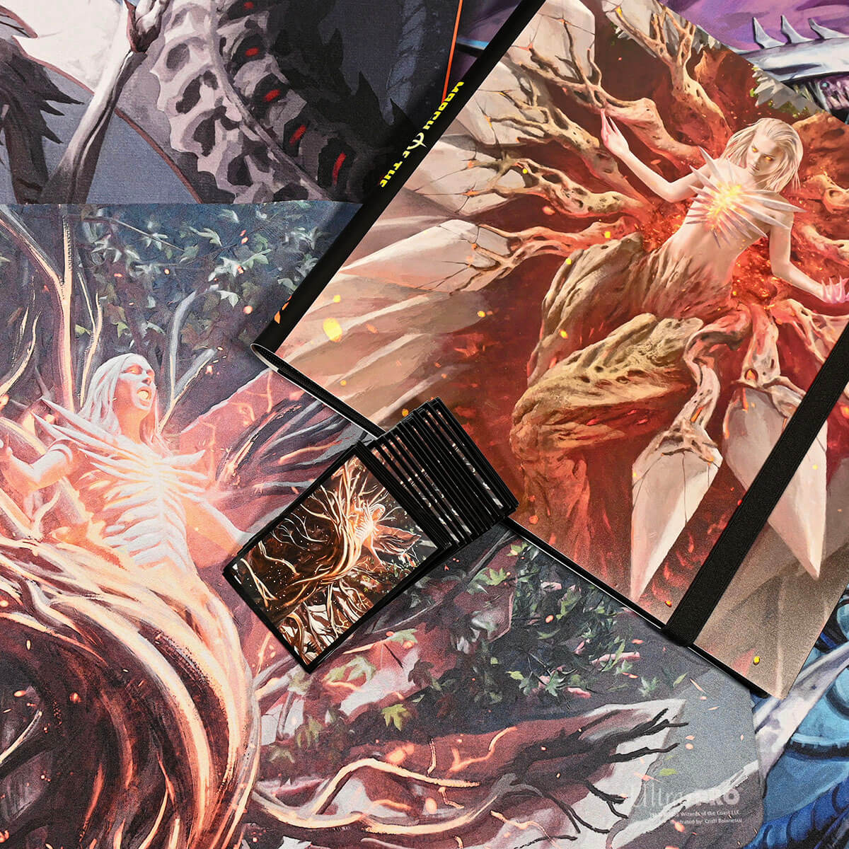 Thumbnail 7