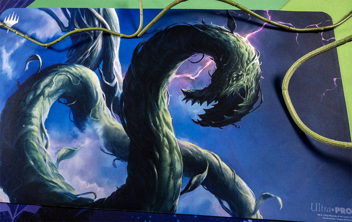 Thumbnail 2